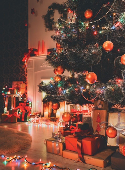 Иллюстрация к книге — Волшебный Новый год. Секреты радостных праздников без суеты и стресса [i_034.jpg]