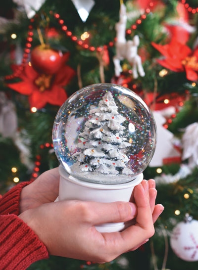 Иллюстрация к книге — Волшебный Новый год. Секреты радостных праздников без суеты и стресса [i_038.jpg]