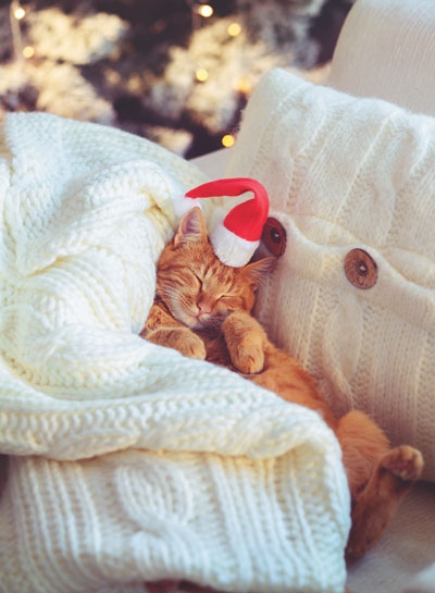 Иллюстрация к книге — Волшебный Новый год. Секреты радостных праздников без суеты и стресса [i_046.jpg]