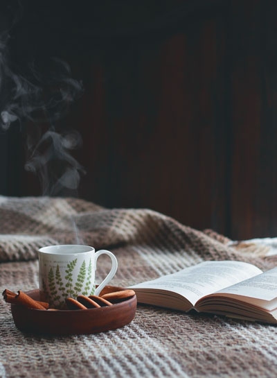 Иллюстрация к книге — Волшебный Новый год. Секреты радостных праздников без суеты и стресса [i_048.jpg]