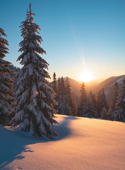 Иллюстрация к книге — Волшебный Новый год. Секреты радостных праздников без суеты и стресса [i_059.jpg]