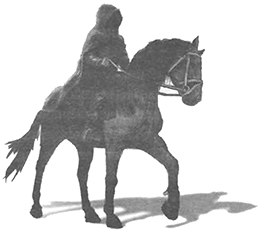 Иллюстрация к книге — Тринадцать ящиков Пандоры [i_001.jpg]