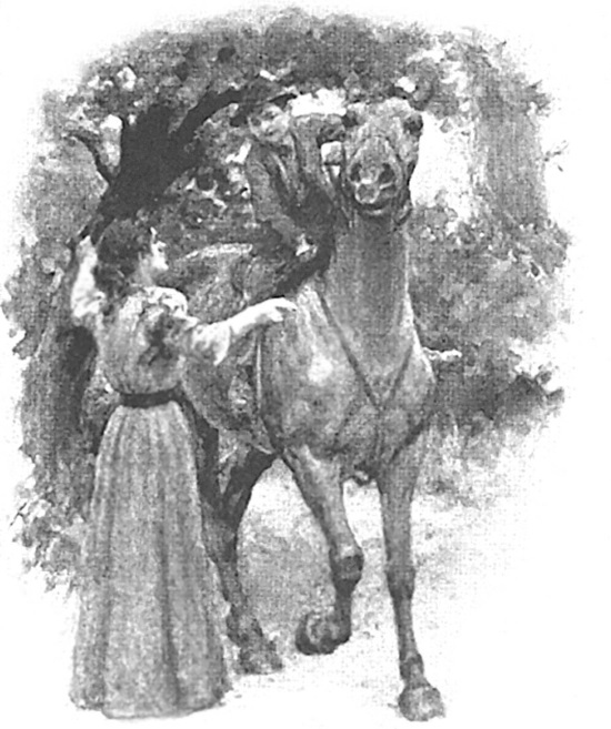 Иллюстрация к книге — Земля теней [i_008.jpg]