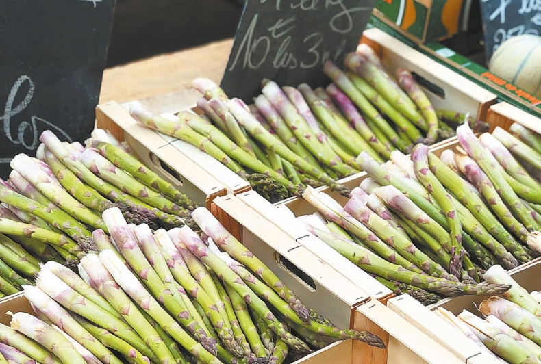 Иллюстрация к книге — Франция, которую вы не знали [i_035.jpg]