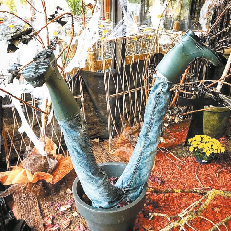 Иллюстрация к книге — Франция, которую вы не знали [i_091.jpg]