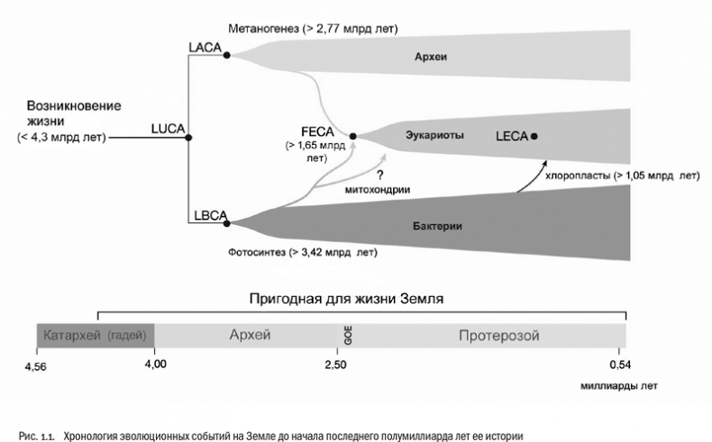 Иллюстрация к книге — Евангелие от LUCA. В поисках родословной животного мира [i_003.jpg]
