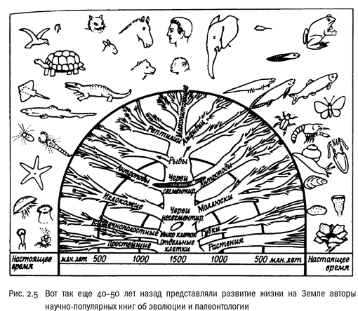 Иллюстрация к книге — Евангелие от LUCA. В поисках родословной животного мира [i_009.jpg]