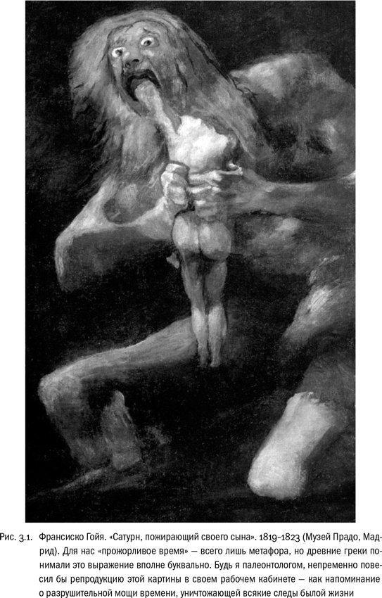 Иллюстрация к книге — Евангелие от LUCA. В поисках родословной животного мира [i_010.jpg]