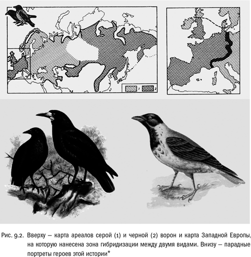 Иллюстрация к книге — Евангелие от LUCA. В поисках родословной животного мира [i_034.jpg]