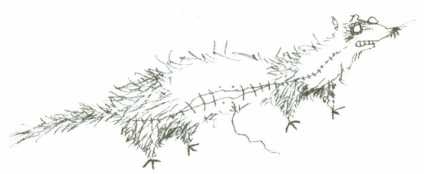 Иллюстрация к книге — Беспросветный Тупик [i_002.jpg]