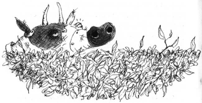 Иллюстрация к книге — Беспросветный Тупик [i_043.jpg]