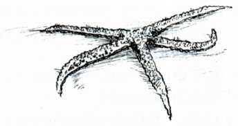 Иллюстрация к книге — Смертельный номер [i_025.jpg]