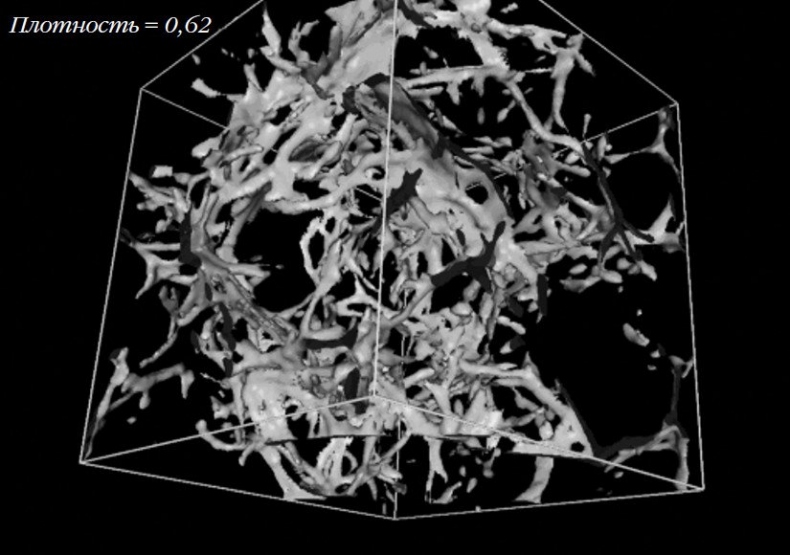 Иллюстрация к книге — Вселенная. Емкие ответы на непостижимые вопросы [i_027.jpg]