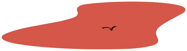 Иллюстрация к книге — С широко открытыми глазами. 131 Способ увидеть мир по-другому и найти радость в повседневности [i_009.jpg]