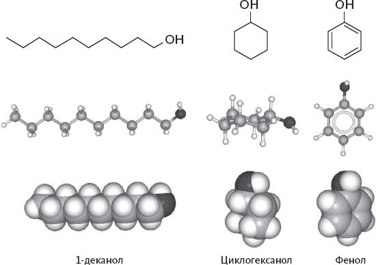 Иллюстрация к книге — Обоняние. Увлекательное погружение в науку о запахах [i_002.jpg]