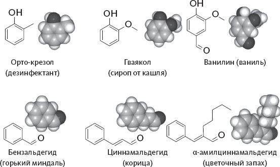 Иллюстрация к книге — Обоняние. Увлекательное погружение в науку о запахах [i_007.jpg]