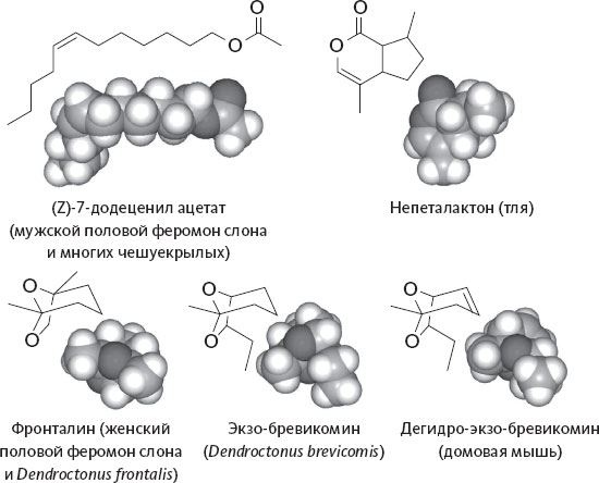 Иллюстрация к книге — Обоняние. Увлекательное погружение в науку о запахах [i_016.jpg]