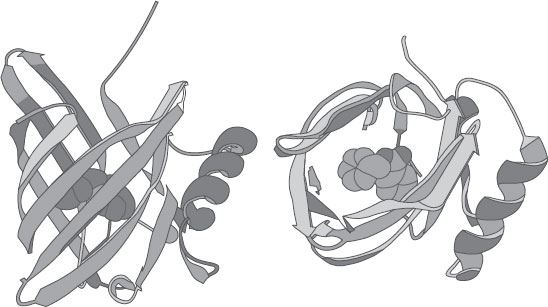 Иллюстрация к книге — Обоняние. Увлекательное погружение в науку о запахах [i_023.jpg]
