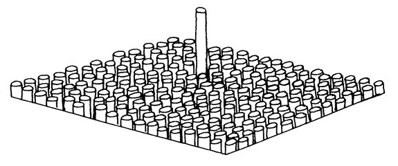 Иллюстрация к книге — Опасная идея Дарвина: Эволюция и смысл жизни [i_004.jpg]