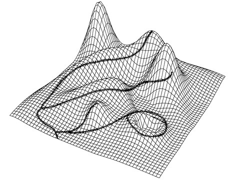 Иллюстрация к книге — Опасная идея Дарвина: Эволюция и смысл жизни [i_026.jpg]