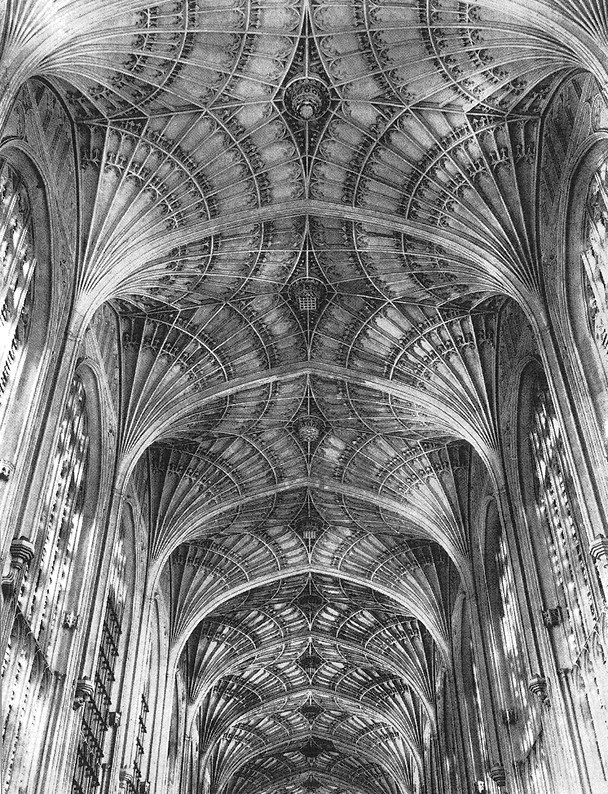 Иллюстрация к книге — Опасная идея Дарвина: Эволюция и смысл жизни [i_028.jpg]