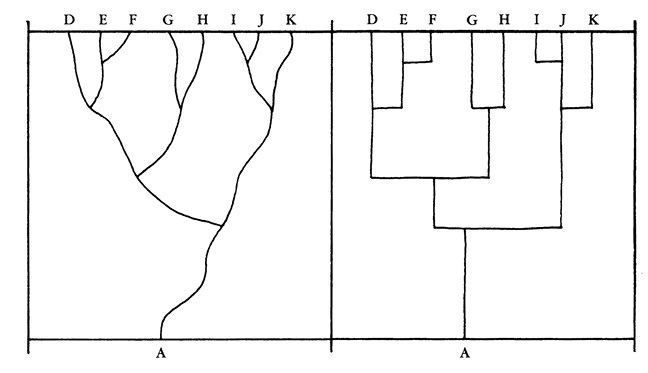 Иллюстрация к книге — Опасная идея Дарвина: Эволюция и смысл жизни [i_032.jpg]