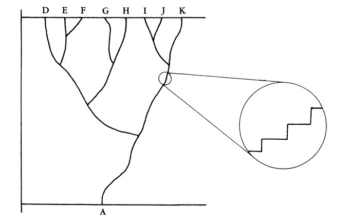 Иллюстрация к книге — Опасная идея Дарвина: Эволюция и смысл жизни [i_033.jpg]