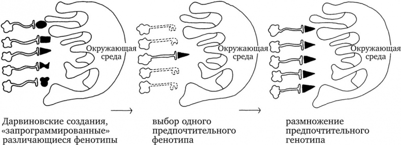 Иллюстрация к книге — Опасная идея Дарвина: Эволюция и смысл жизни [i_041.jpg]