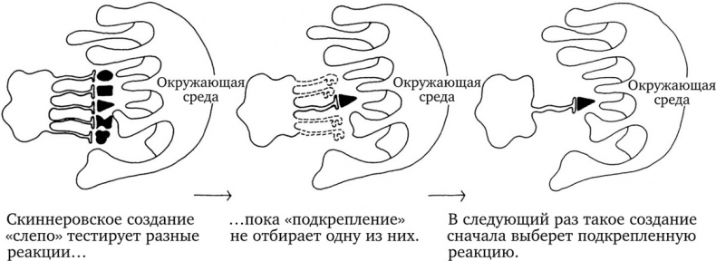 Иллюстрация к книге — Опасная идея Дарвина: Эволюция и смысл жизни [i_042.jpg]