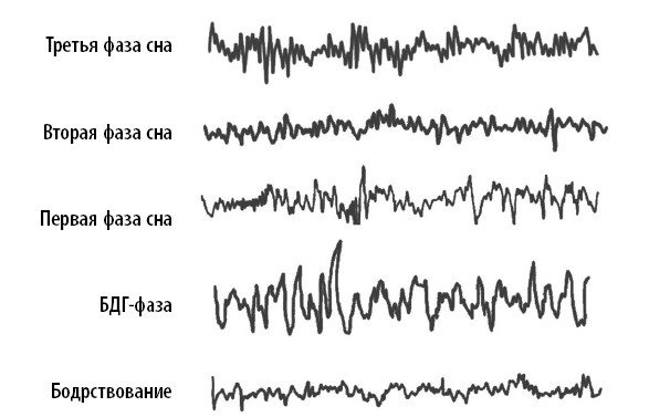 Иллюстрация к книге — Ваш мозг. Что нейронаука знает о мозге и его причудах [i_013.jpg]