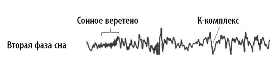 Иллюстрация к книге — Ваш мозг. Что нейронаука знает о мозге и его причудах [i_014.jpg]