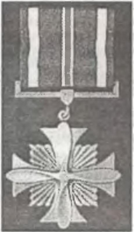 Иллюстрация к книге — Асы Второй мировой войны. Британская империя. Том 1 [i_017.jpg]