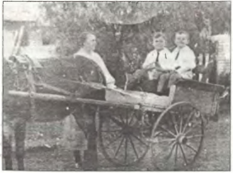 Иллюстрация к книге — Асы Второй мировой войны. Британская империя. Том 1 [i_230.jpg]