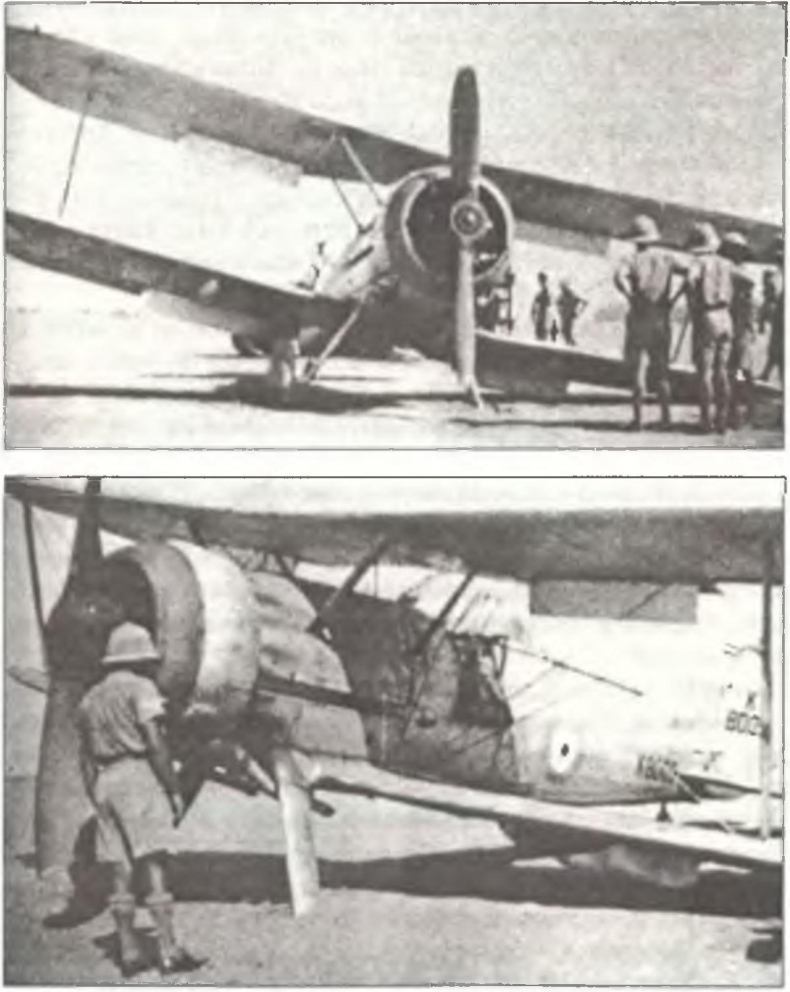 Иллюстрация к книге — Асы Второй мировой войны. Британская империя. Том 1 [i_242.jpg]