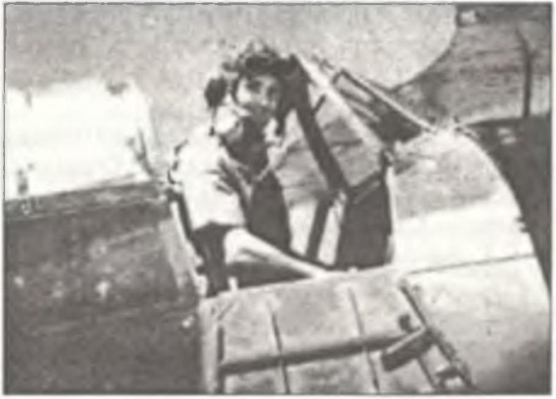 Иллюстрация к книге — Асы Второй мировой войны. Британская империя. Том 1 [i_267.jpg]