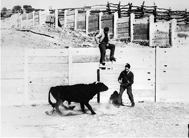 Иллюстрация к книге — Между Ницше и Буддой: счастье, творчество и смысл жизни [_02.jpg]