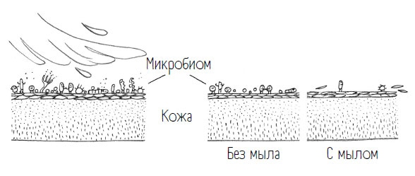 Иллюстрация к книге — Комично, как все химично! Почему не стоит бояться фтора в зубной пасте, тефлона на сковороде, и думать о том, что телефон на зарядке взорвется [i_017.jpg]