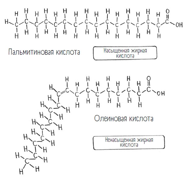 Иллюстрация к книге — Комично, как все химично! Почему не стоит бояться фтора в зубной пасте, тефлона на сковороде, и думать о том, что телефон на зарядке взорвется [i_067.jpg]