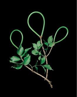 Иллюстрация к книге — Цифровое искусство [i_051.jpg]