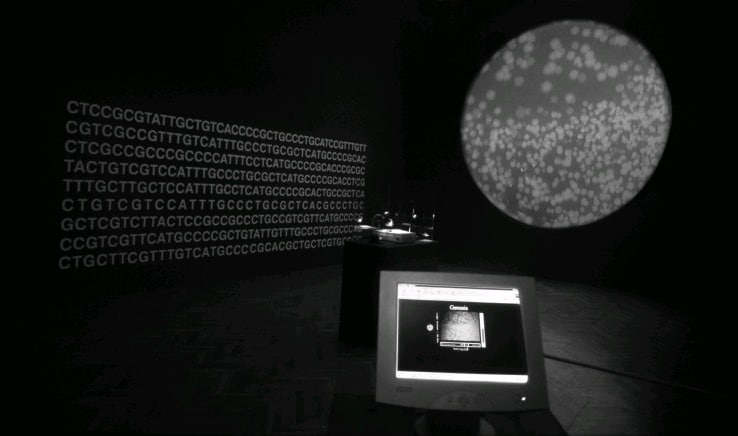 Иллюстрация к книге — Цифровое искусство [i_243.jpg]