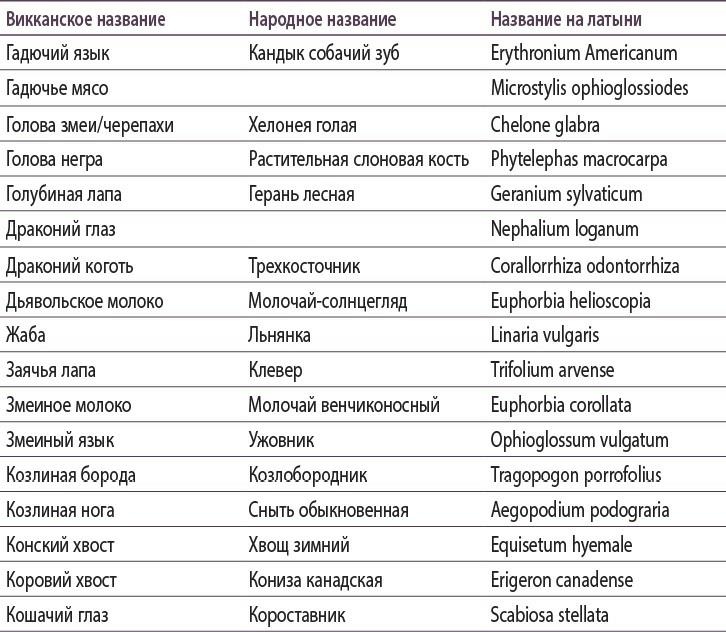 Иллюстрация к книге — Полная книга ведьмовства. Классический курс Викки [i_130.jpg]