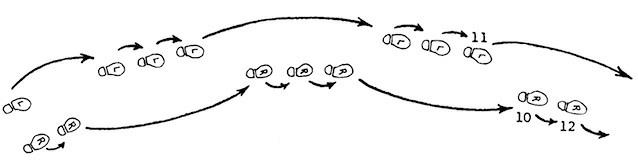 Иллюстрация к книге — Полная книга ведьмовства. Классический курс Викки [i_182.jpg]