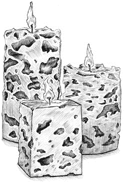 Иллюстрация к книге — Йоль: ритуалы, рецепты и обряды в день зимнего солнцестояния [i_022.jpg]