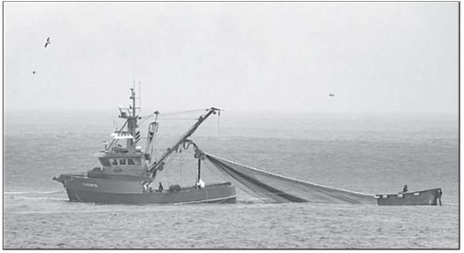 Иллюстрация к книге — История плавающих средств. От плота до субмарины [i_061.jpg]