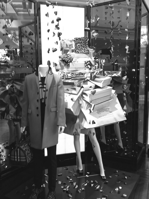 Иллюстрация к книге — Территории моды: потребление, пространство и ценность [i_015.jpg]