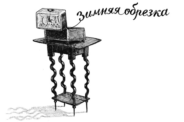 Иллюстрация к книге — Страшные сказки дядюшки Монтегю [i_016.jpg]