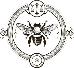 Иллюстрация к книге — Галерея кукол и костей [i_007.jpg]