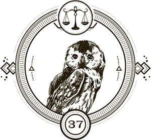 Иллюстрация к книге — Галерея кукол и костей [i_075.jpg]