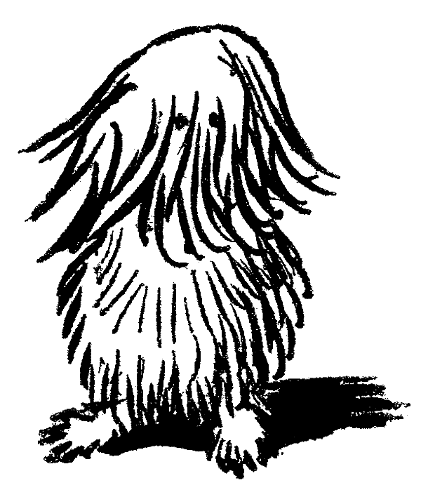 Иллюстрация к книге — Гномы Боландского леса [i_003.jpg]