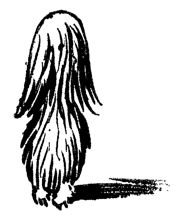 Иллюстрация к книге — Гномы Боландского леса [i_004.jpg]